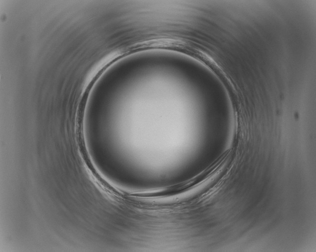 X0000056011426200509021718