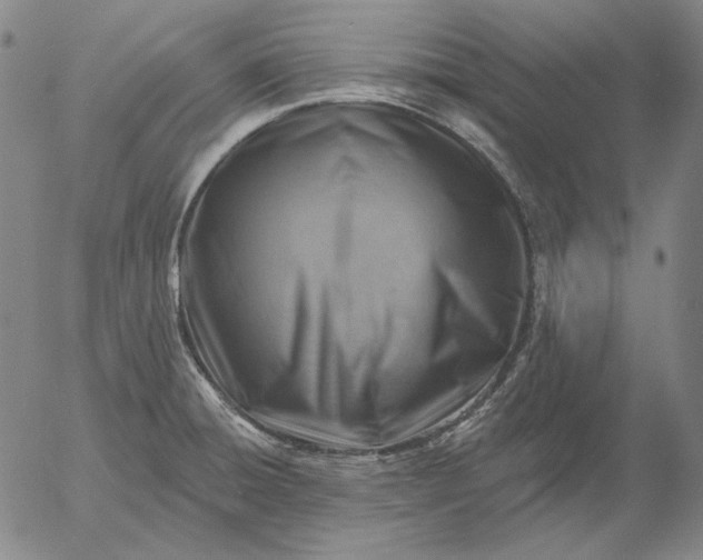 X0000056011428200509021718