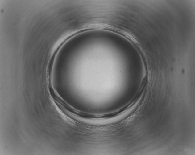 X0000056011430200509021718