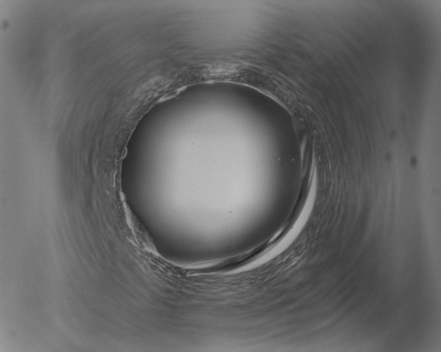 X0000056011441200509021718
