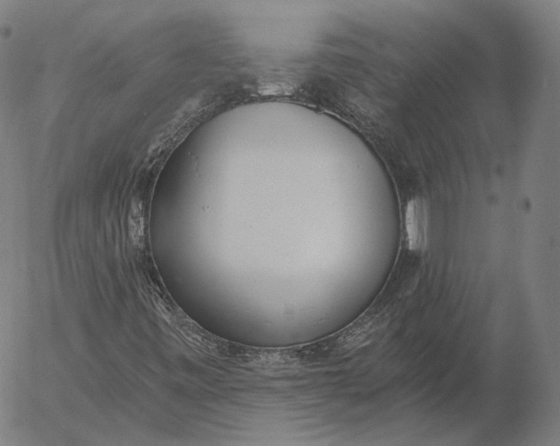 X0000056011443200509021718