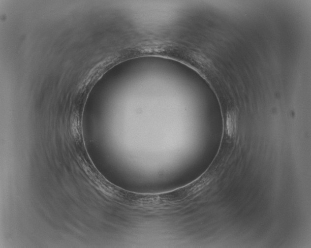 X0000056011444200509021718