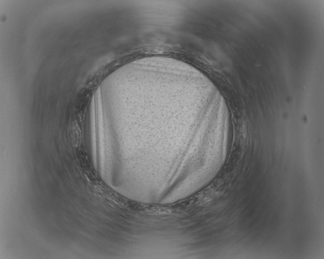 X0000056011446200509021718