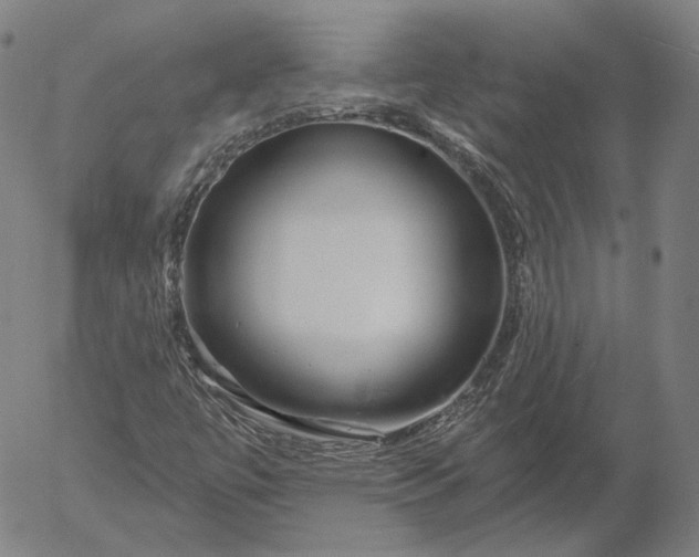 X0000056011447200509021718