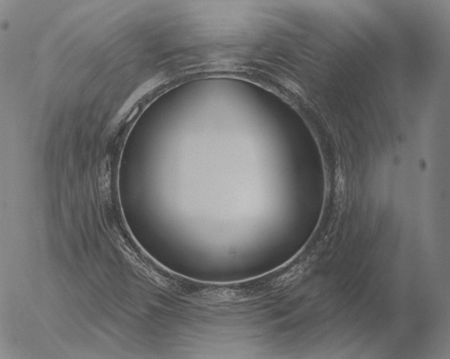 X0000056011450200509021717