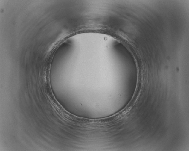X0000056011451200509021717