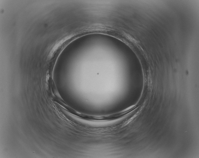 X0000056011453200509021717