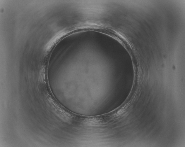 X0000056011455200509021717