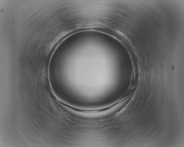 X0000056011457200509021717