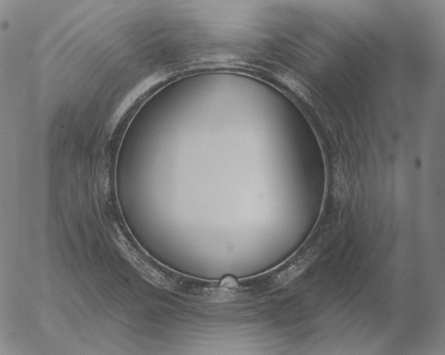 X0000056011458200509021717
