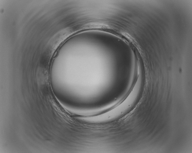 X0000056011465200509021717