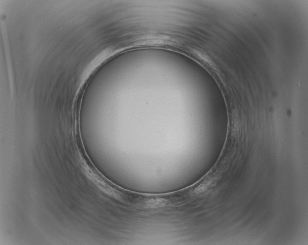 X0000056011467200509021717