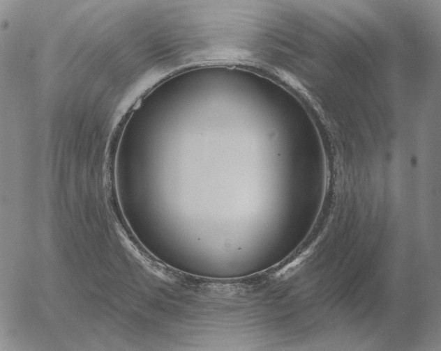 X0000056011469200509021717