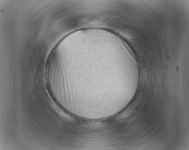 X0000056011470200509021717