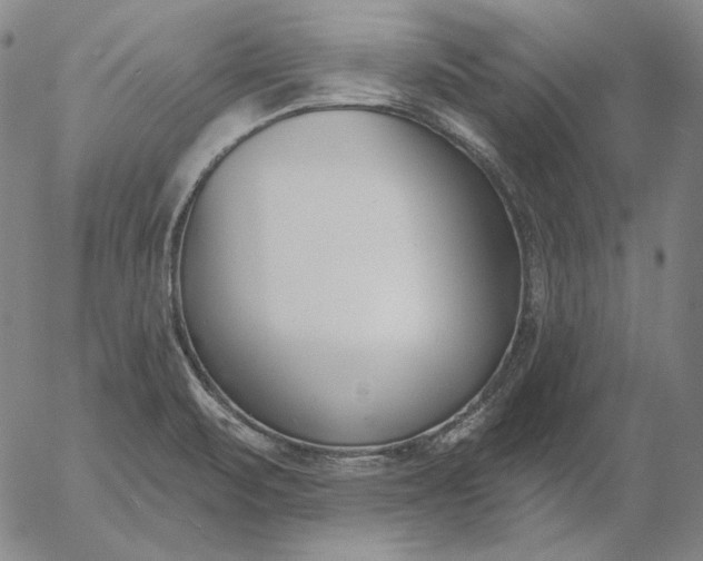 X0000056011471200509021717
