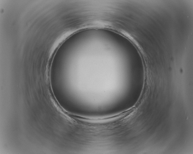 X0000056011477200509021717