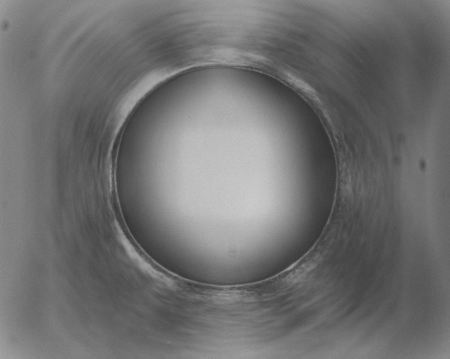 X0000056011479200509021717