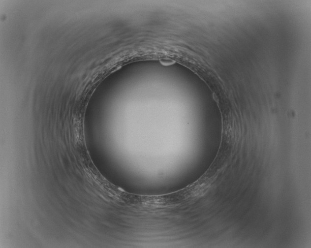 X0000056011490200509021716