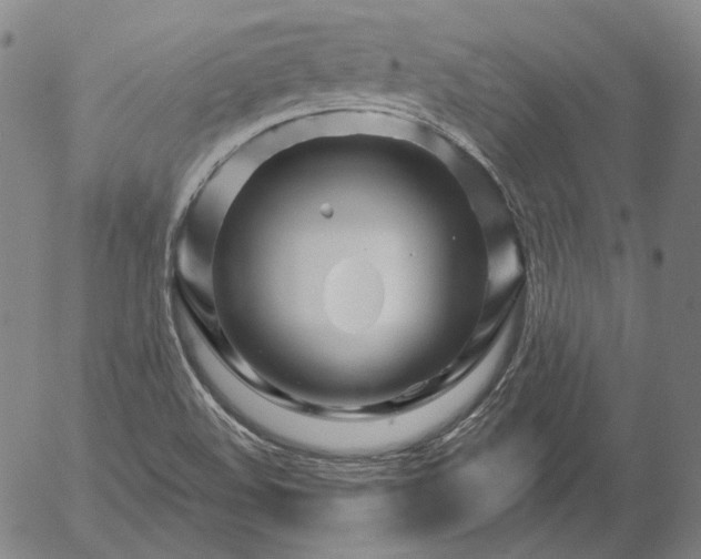 X0000056011508200509021716