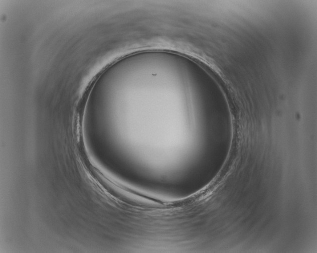 X0000056011510200509021716
