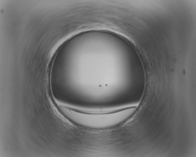 X0000056011518200509021717
