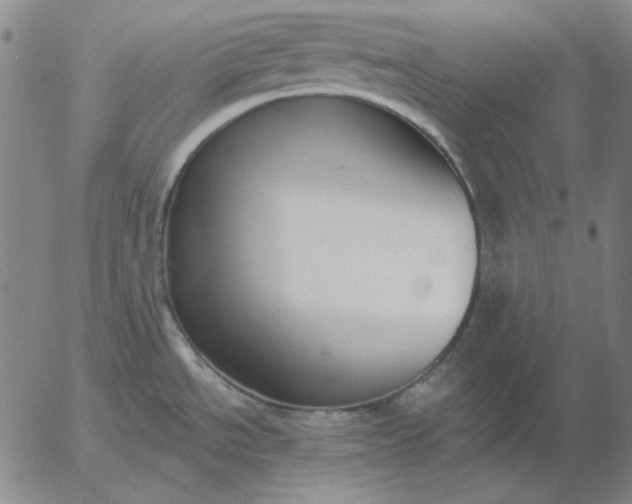X0000056011534200509021717