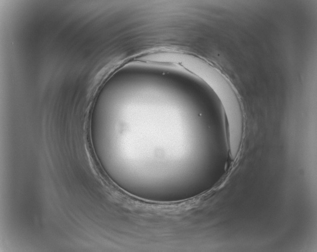 X0000056010001200509092124