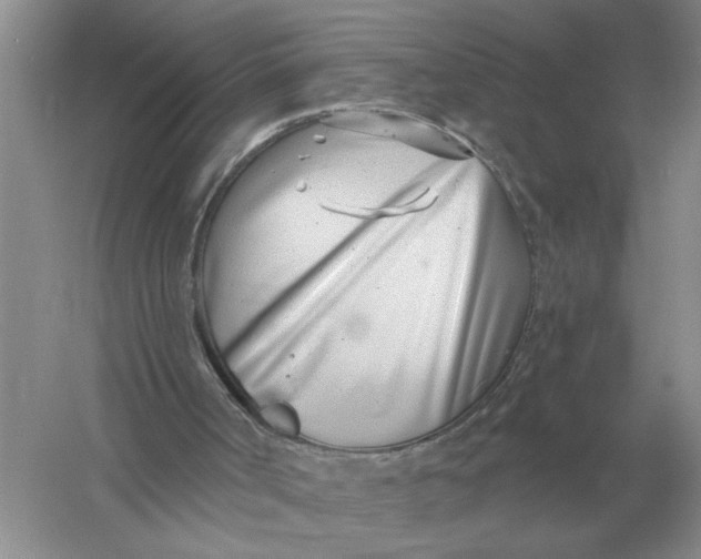 X0000056010002200509092124