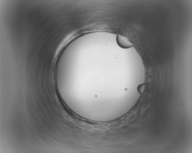 X0000056010004200509092124