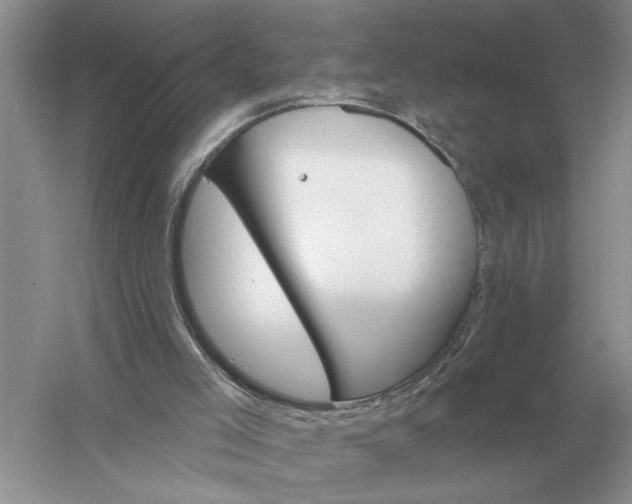 X0000056010005200509092124