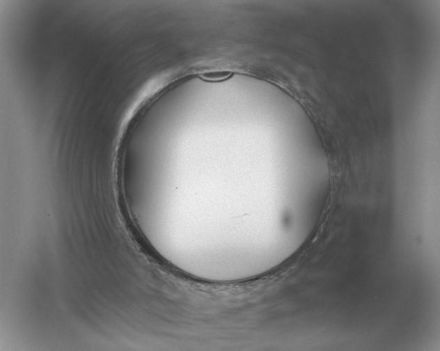 X0000056010006200509092124