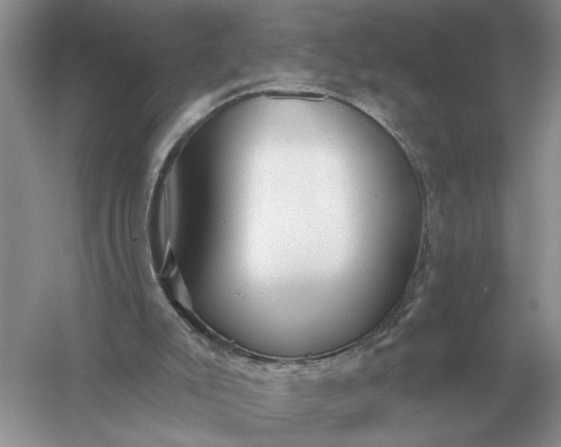 X0000056010007200509092124