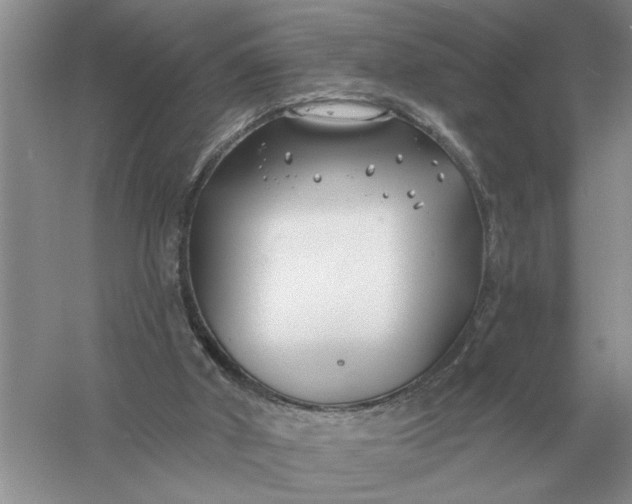 X0000056010010200509092124