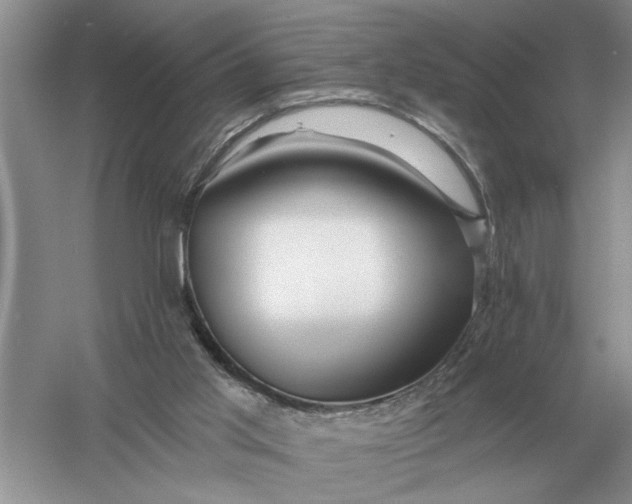 X0000056010013200509092124