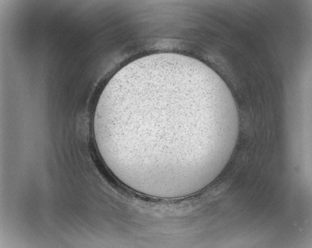 X0000056010016200509092124