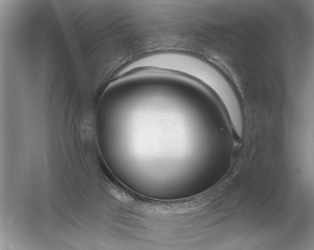 X0000056010017200509092124