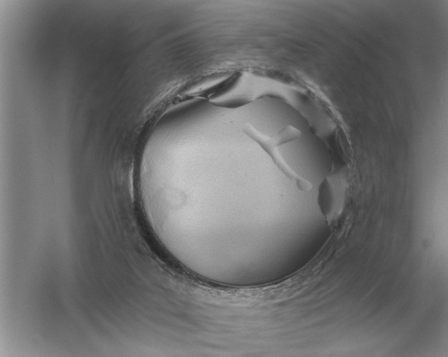 X0000056010019200509092124