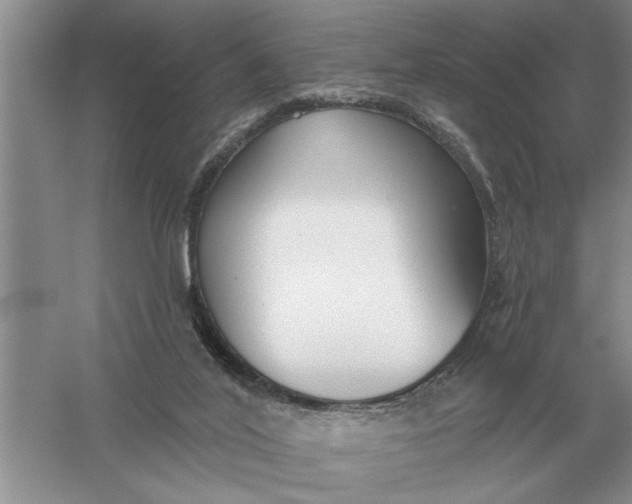 X0000056010020200509092124