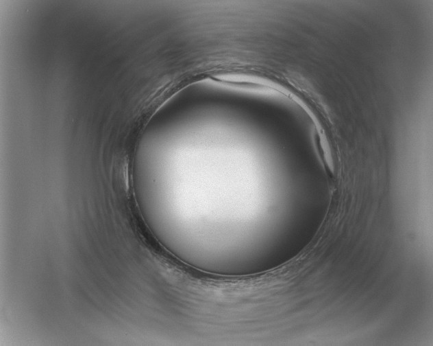 X0000056010021200509092124