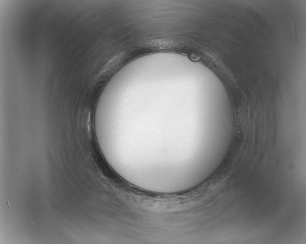 X0000056010024200509092124