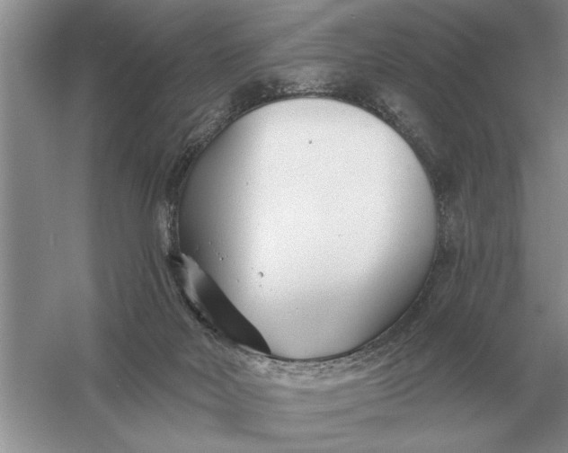 X0000056010026200509092124