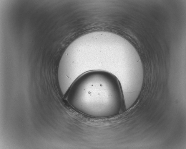 X0000056010029200509092124