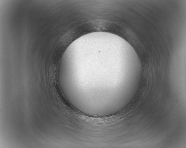 X0000056010030200509092124