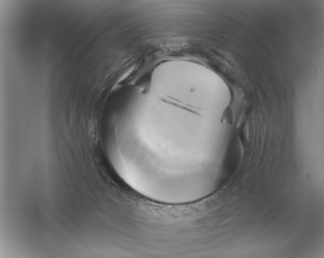 X0000056010031200509092124