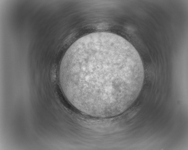 X0000056010032200509092124