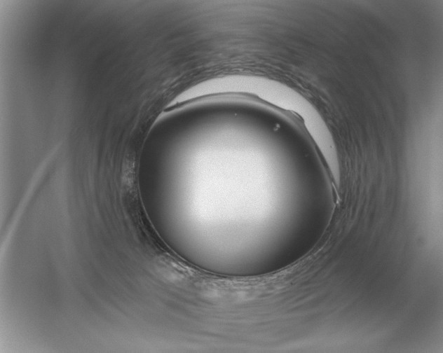 X0000056010033200509092124