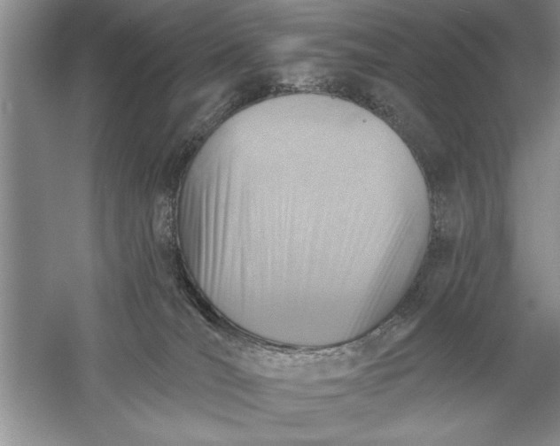 X0000056010036200509092124