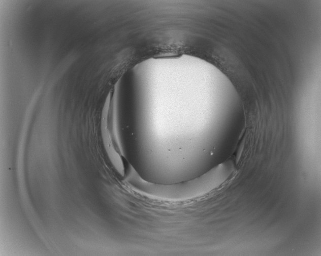 X0000056010037200509092124