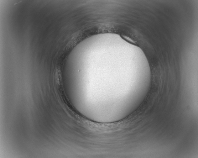 X0000056010038200509092123