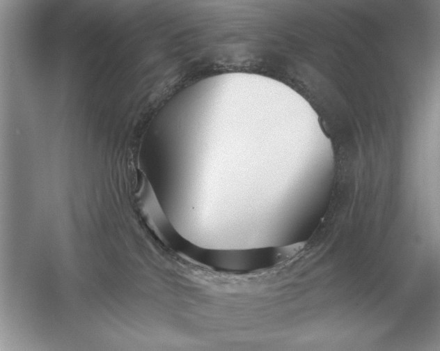 X0000056010040200509092123